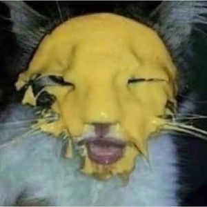 Meet your Posher, Jose